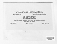 Image Associated With the Occurence